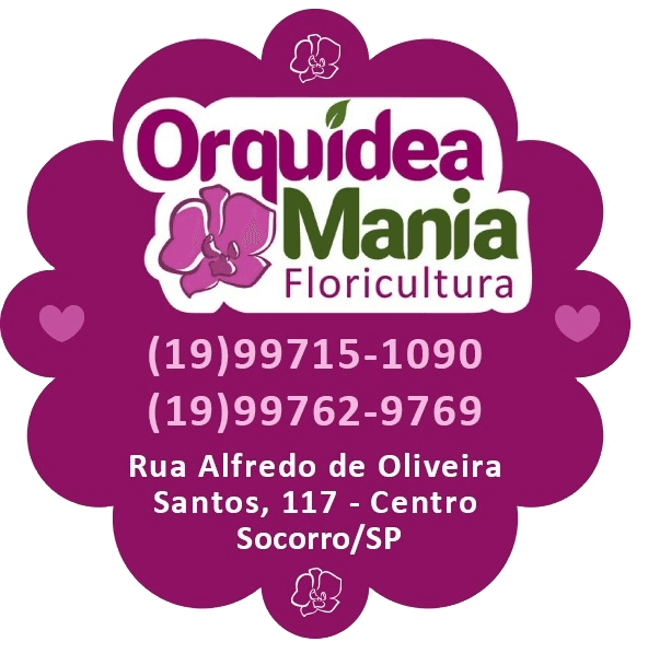 Logo Orquídea Mania